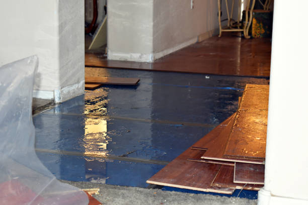 Professional Storm Water Damage Restoration technician working in Greene, ME